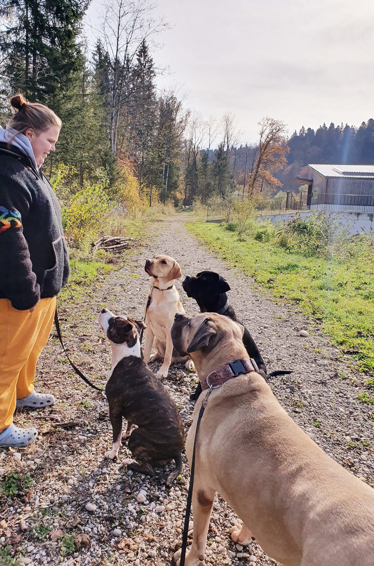 Hundeschule